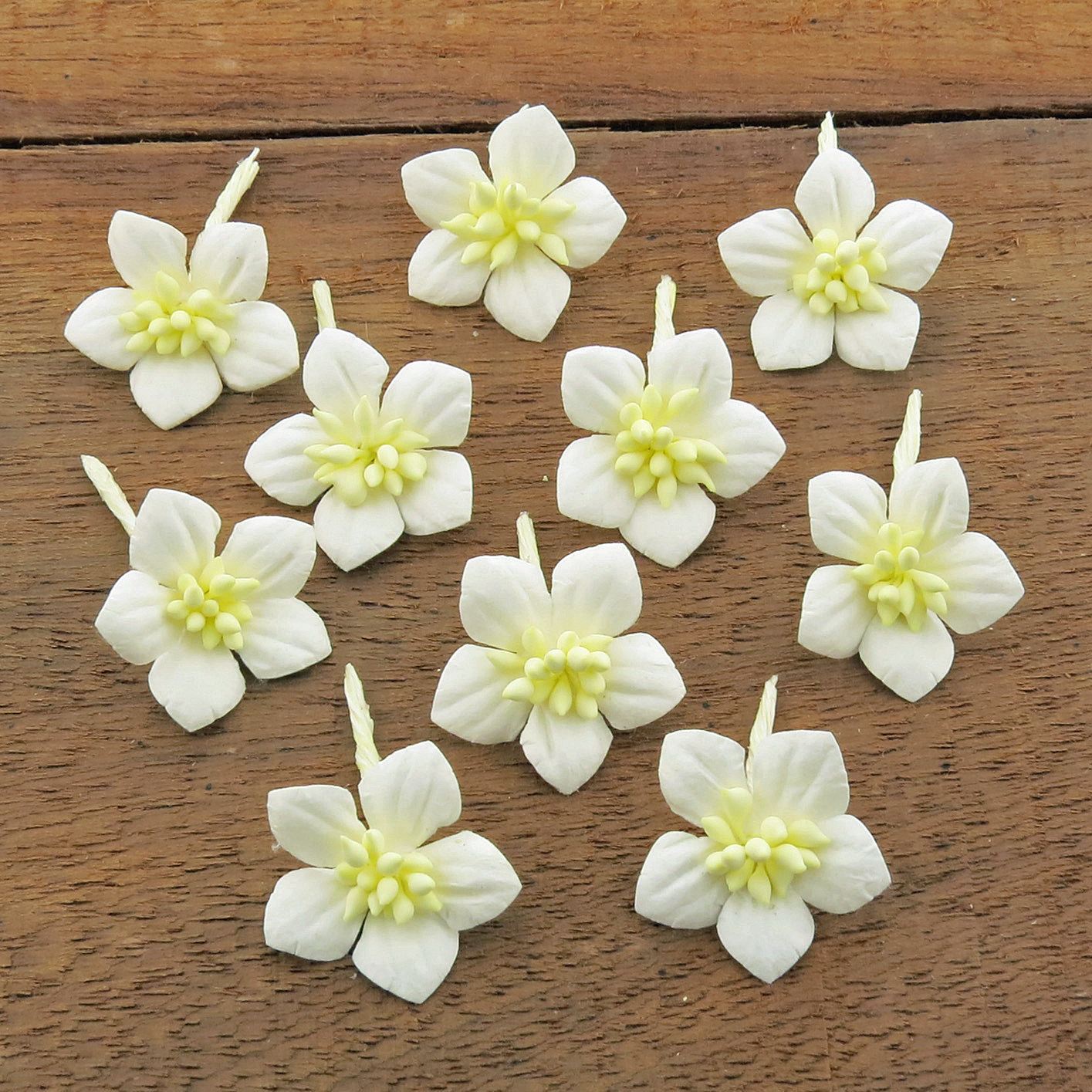WHITE COTTON STEM MULBERRY PAPER FLOWERS - SET C - Click Image to Close